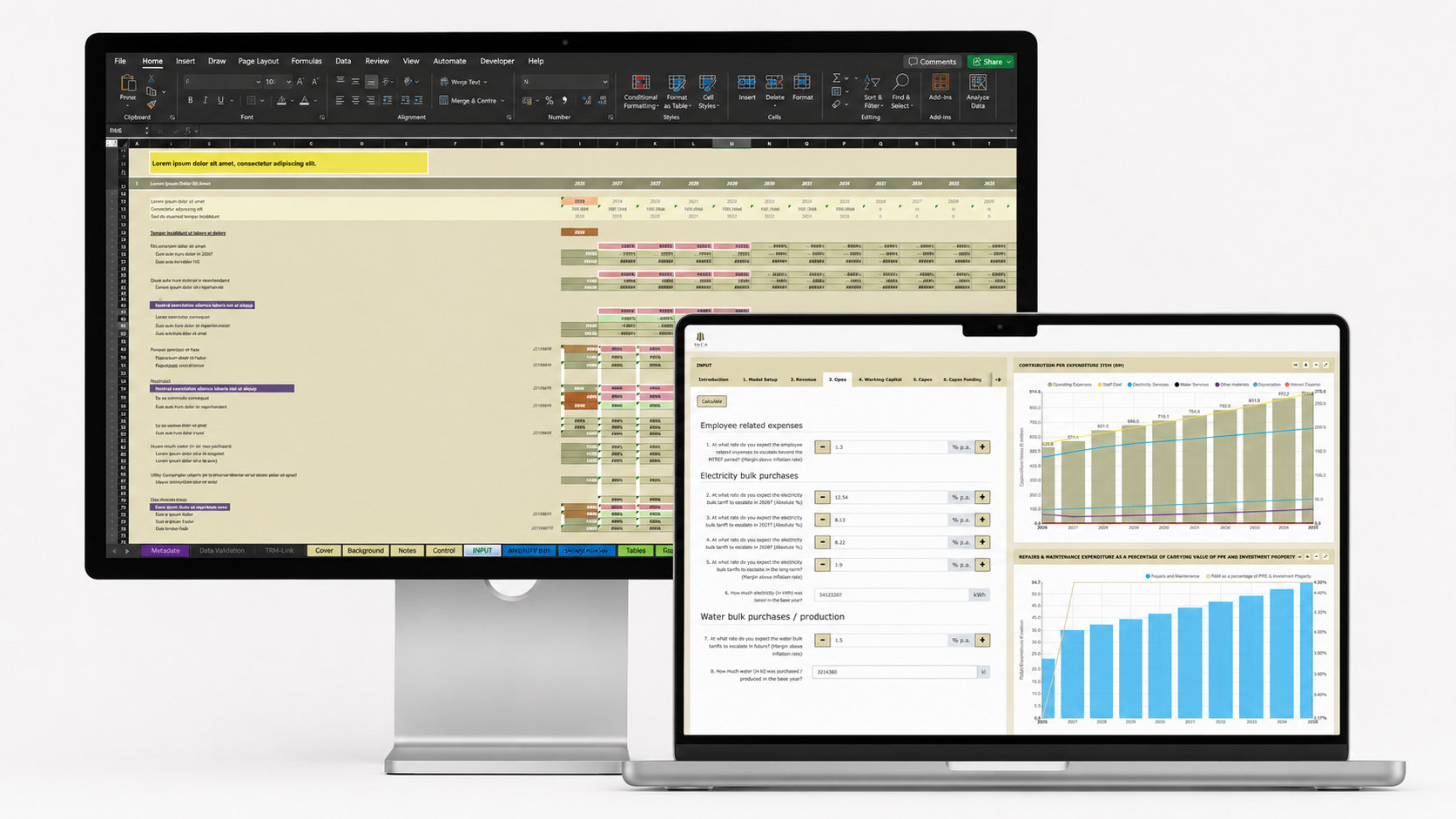 INCA Portfolio Managers' Excel financial model and the Molnify web application it became, shown side by side.